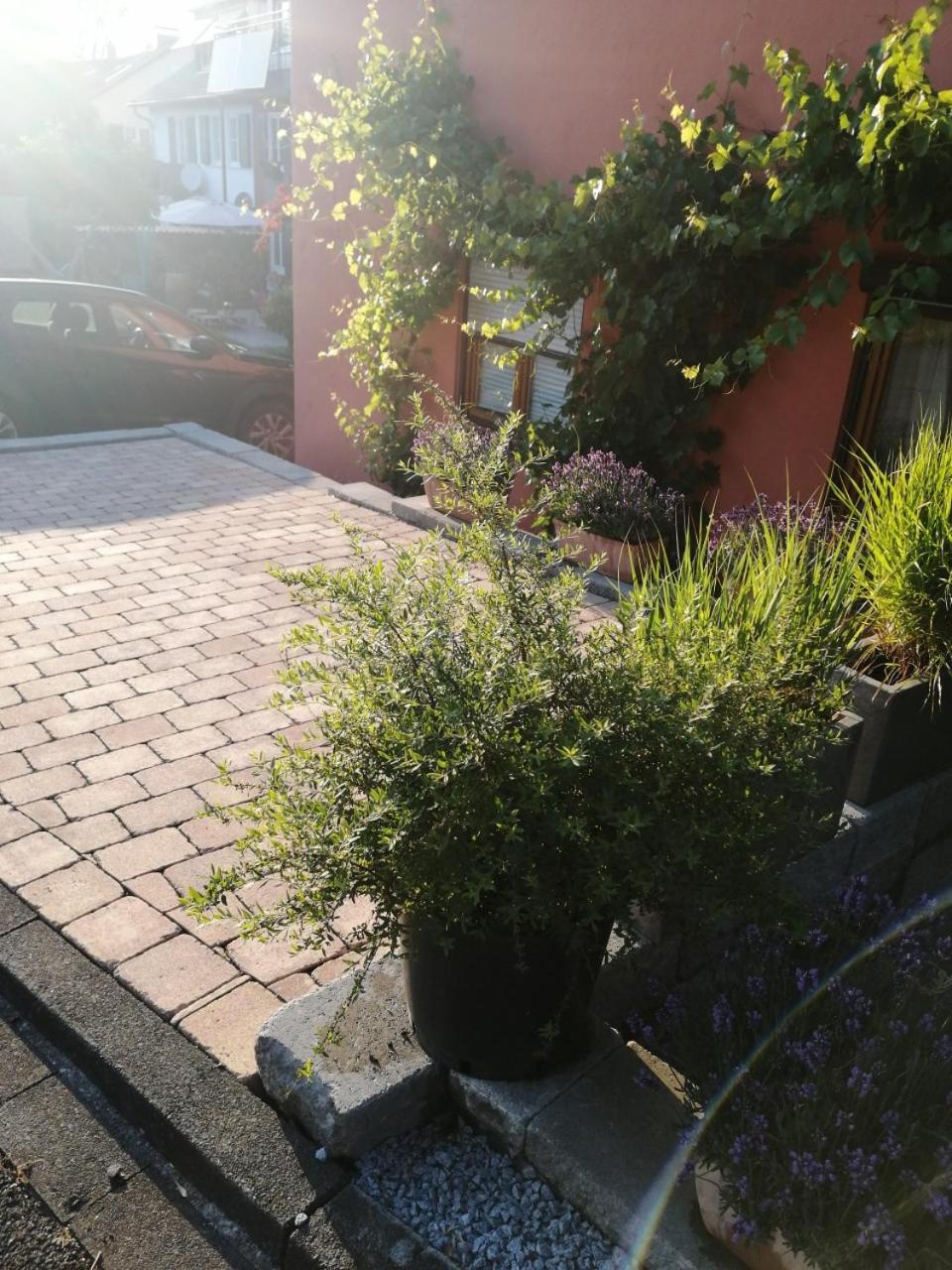 Haus Meersburg Rebe ภายนอก รูปภาพ