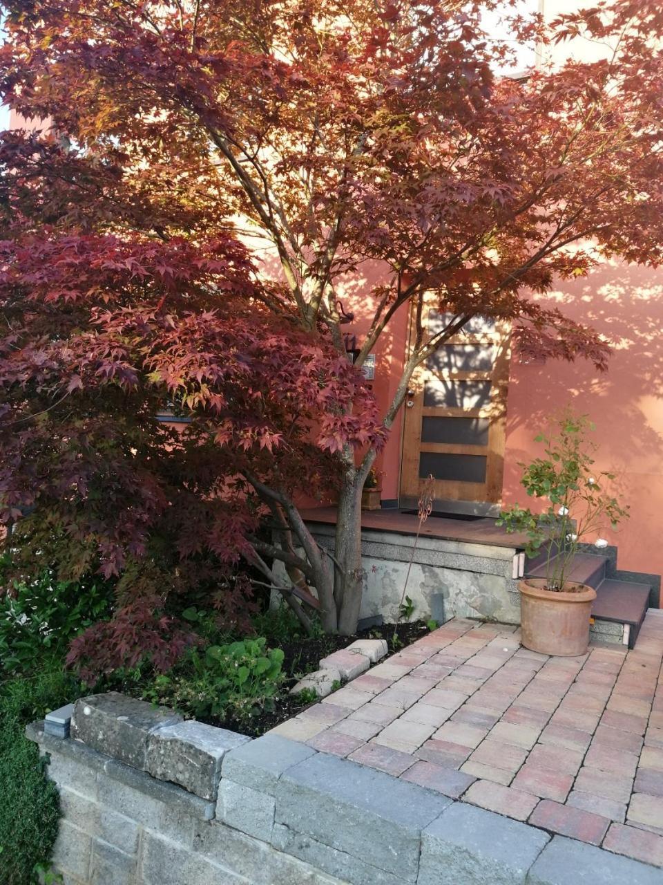 Haus Meersburg Rebe ภายนอก รูปภาพ